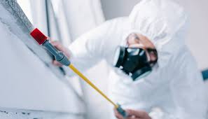 Best Residential Pest Control  in Ragland, AL